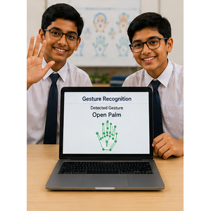 Gesture Recognition